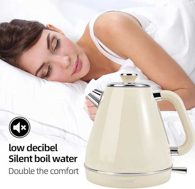 Haushaltskleingeräte, Elektrischer Wasserkocher
